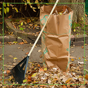 YardWaste LeavesBag 300x300